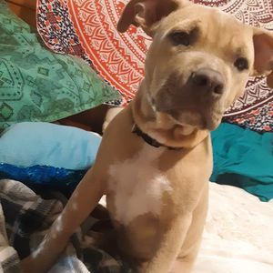 Meet your Posher, Bryon